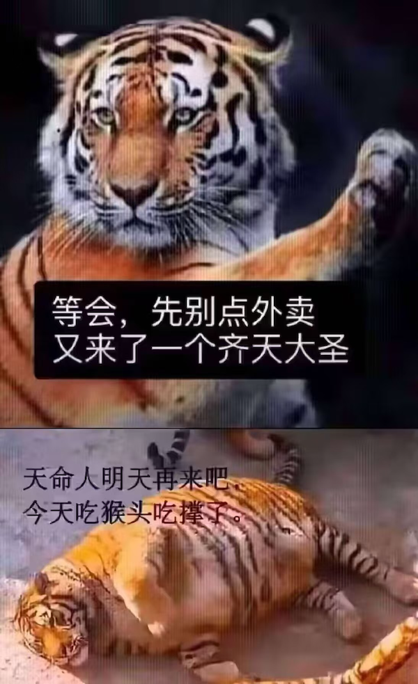 猴头吃饱了