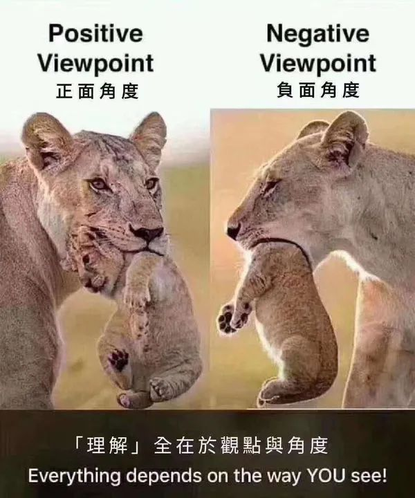 理解全在于观点与角度
